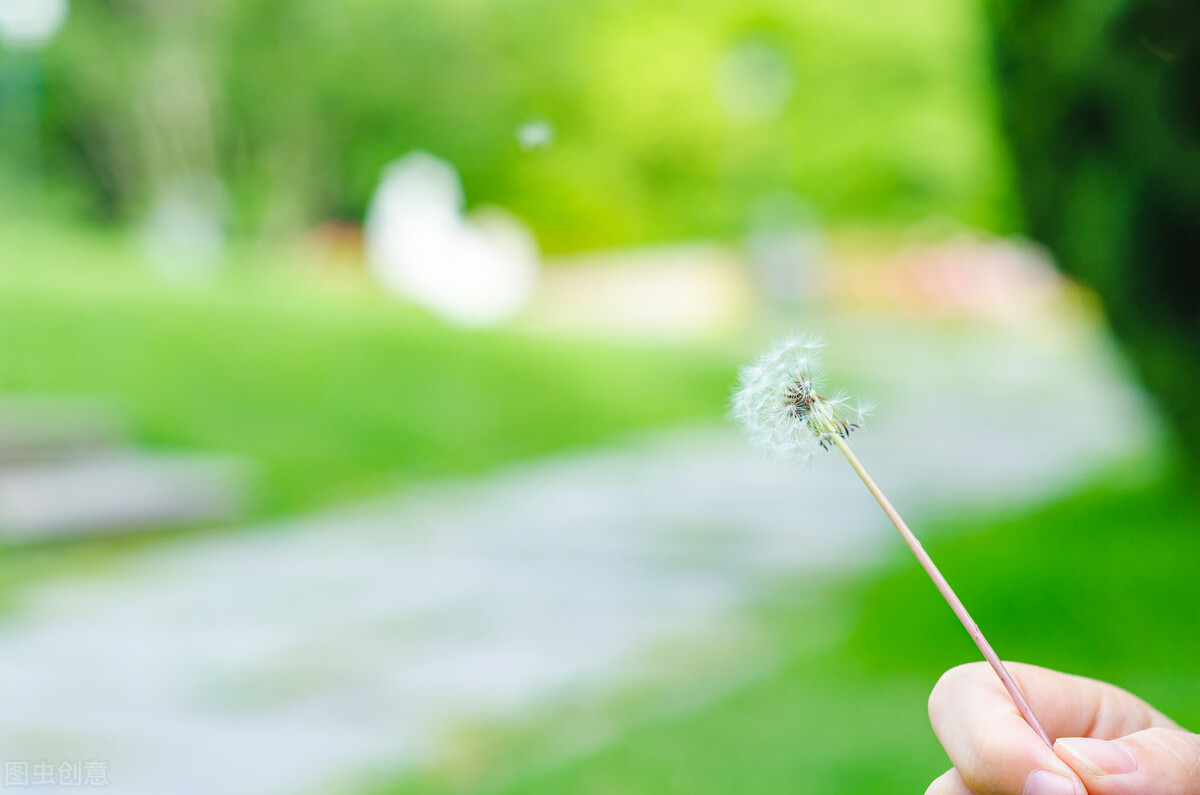 红颜易老，寻梦千年，浅情人不知