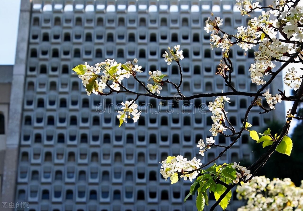 世上最好的公立大学系统！加州大学和它的“分校们”