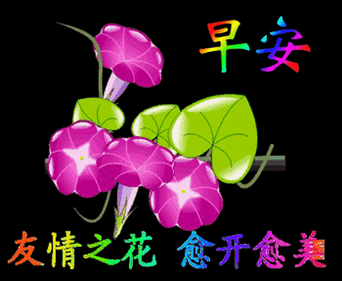 创意好看的早上好祝福图片带字温馨 一天一个梦想，祝你快乐安康图片