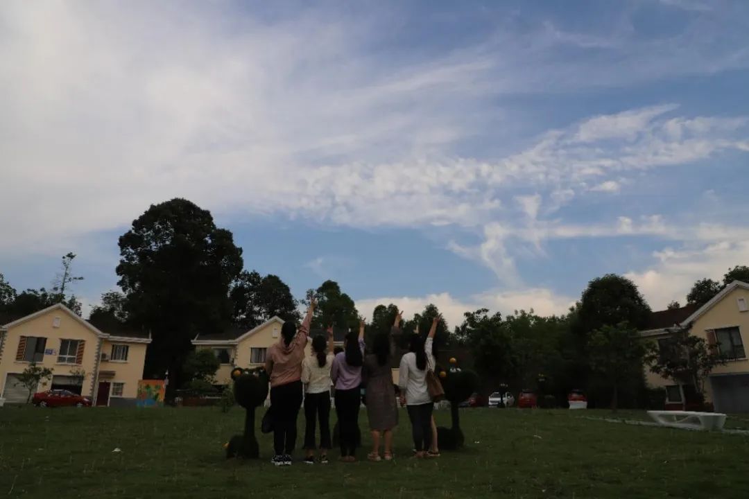 寻迹、逐梦 | 煎茶小学团支部组织青年老师们走进新农村——南新村