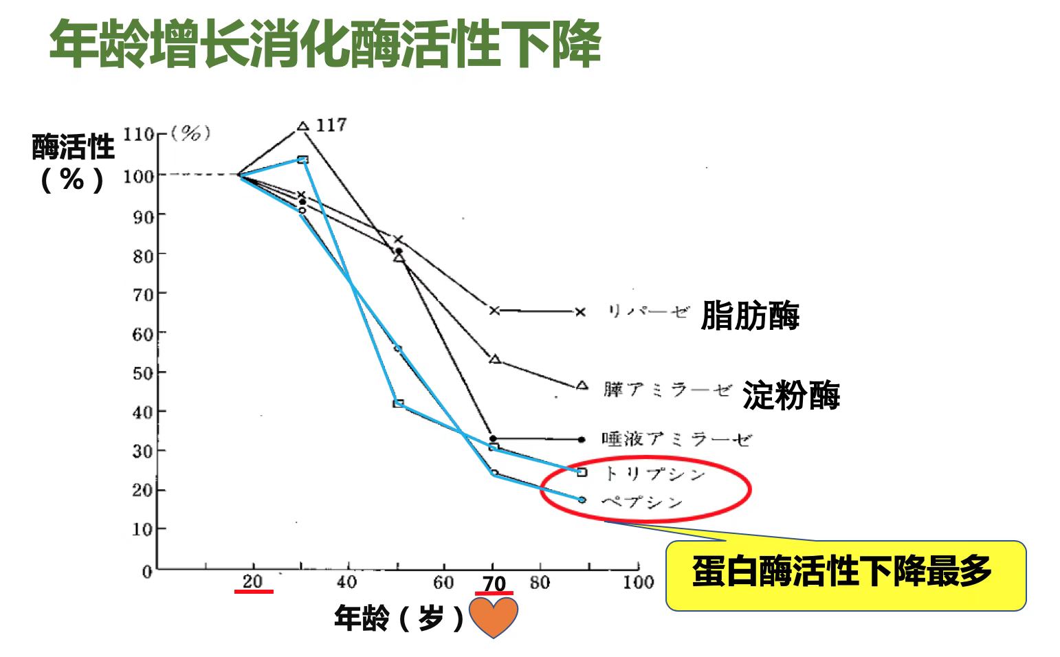 比起蛋白質(zhì)，老年人更需要補(bǔ)蛋白肽