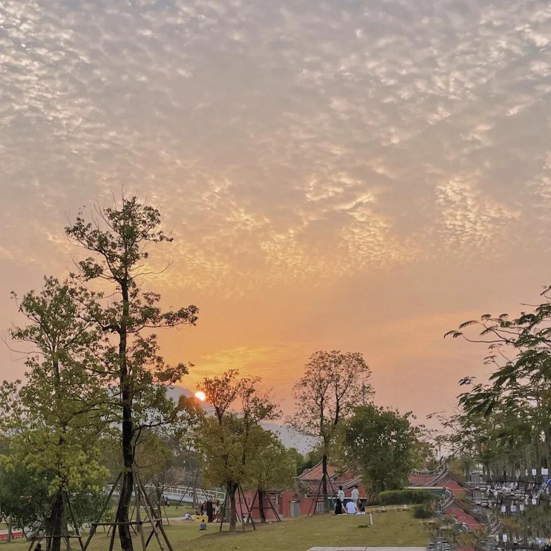 春日限定丨春天里的仪式感一起去野餐吧 野餐朋友圈文案来啦