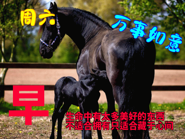 微信群早上好问候语动态表情包，愿你爱人永相伴、笑容永不变图片