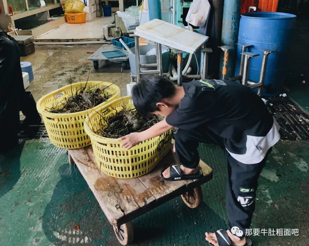 吃喝与躺平，湛江肥宅快乐假期