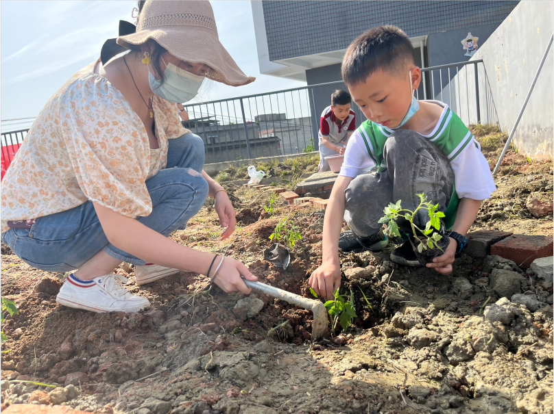 “心与心行 劳动有我”|新兴中学附小开展五一劳动周实践活动