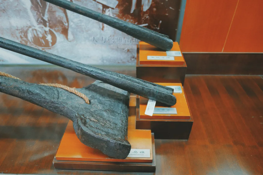 最近超火的盐帮菜之乡让我大开眼界，奇怪的知识又增加了