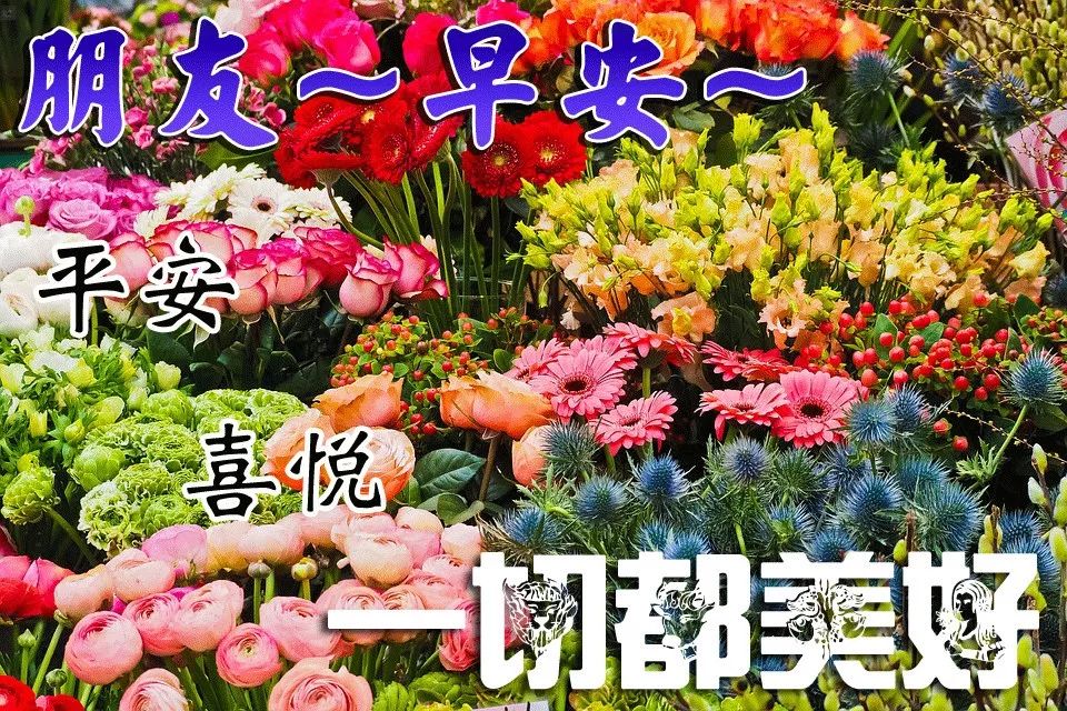 周六微信群最美早上好问候语和关心话 祝你从早到晚好运连连图片