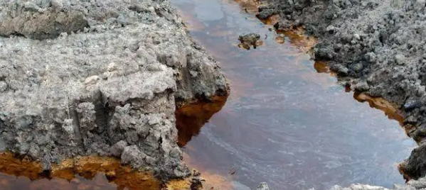 重大突破：全球第一组以中国企业名称命名的生物菌种诞生