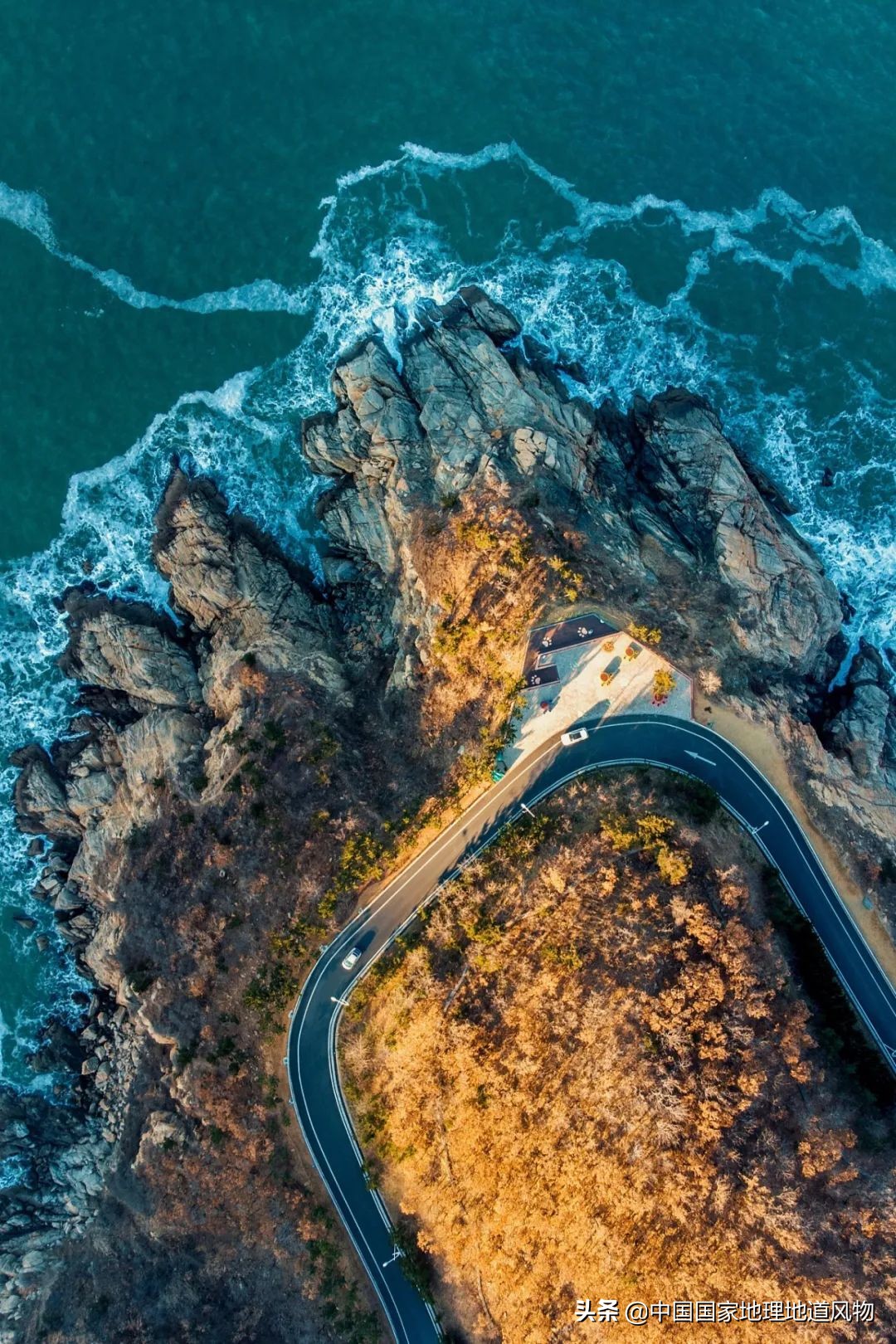 中国第一海鲜大省的这座城，让国人实现顶级生蚝自由