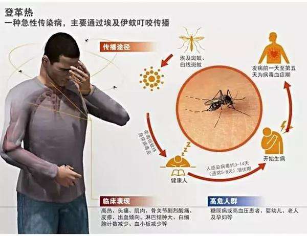 第七个,登革热病毒.
