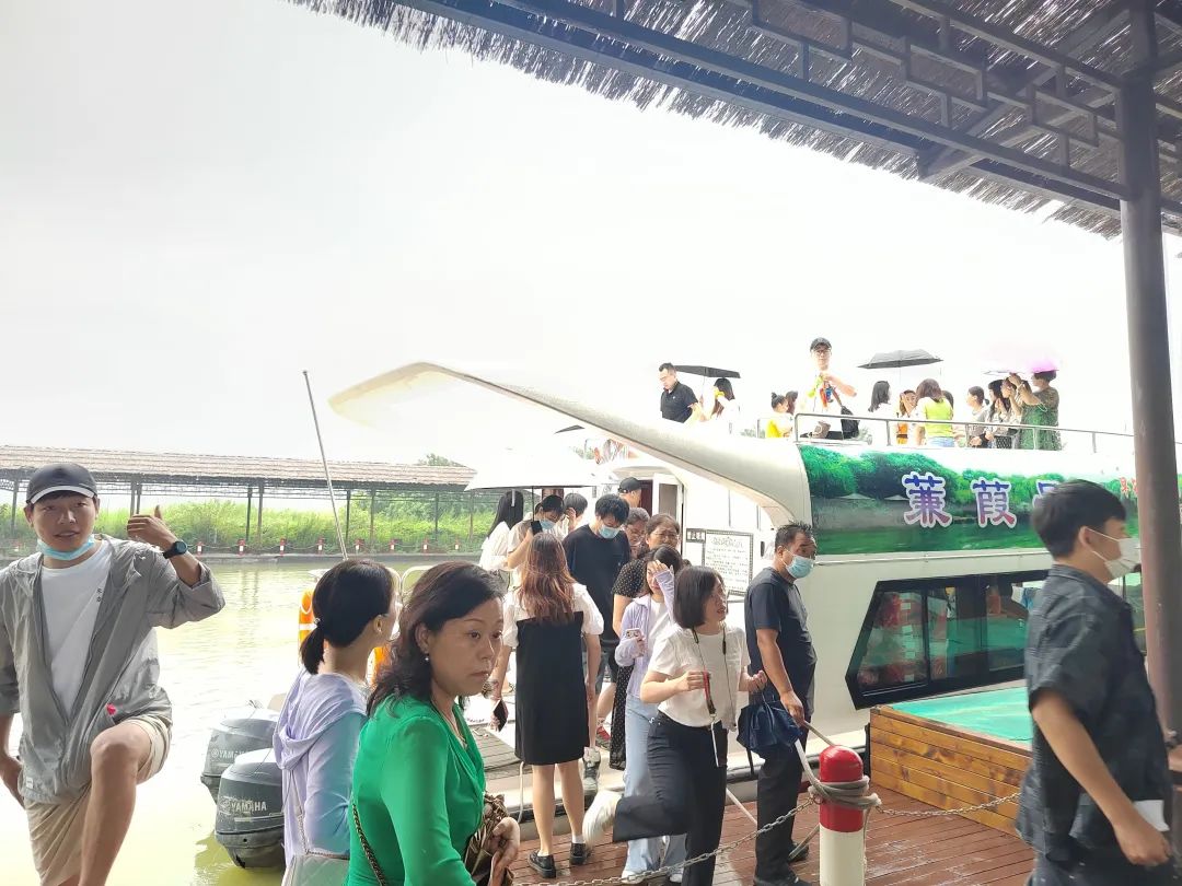 夏日洽川美如畫 八方游客樂游此