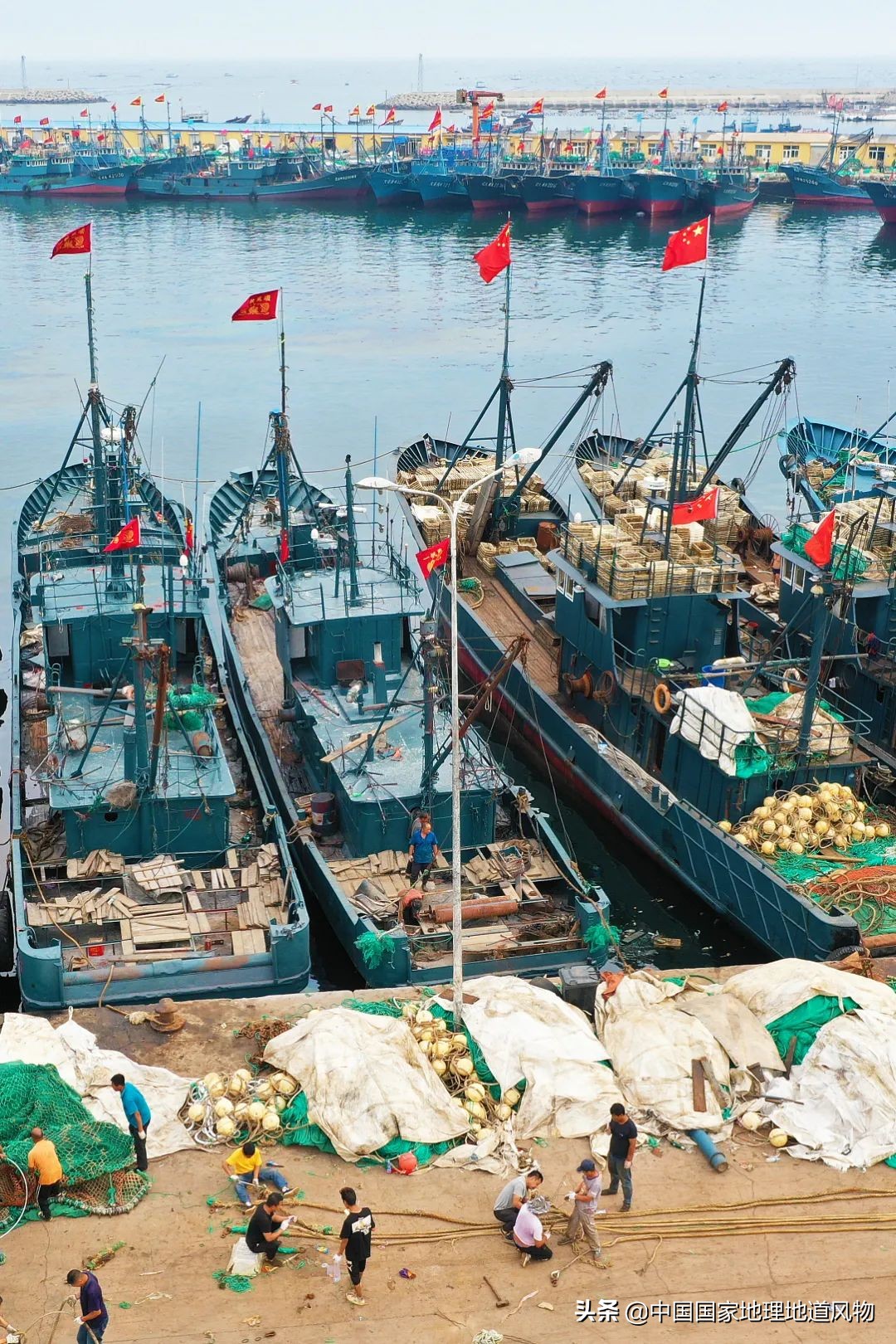 辽宁，被忽略的海鲜大省