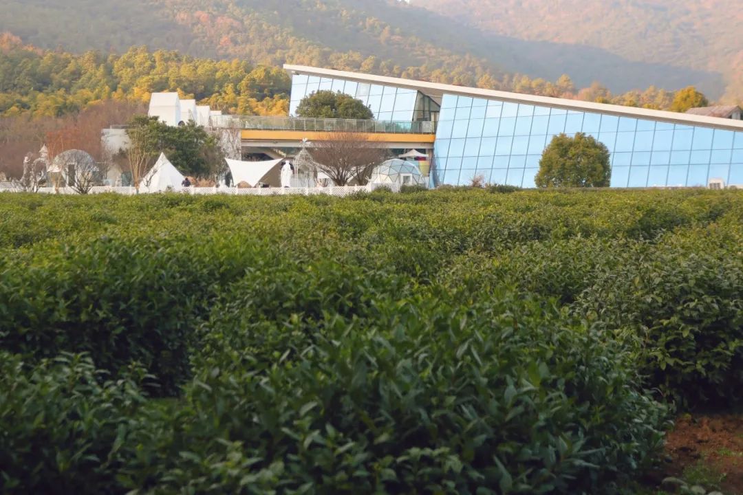 苏州新晋网红艺术街区，不用去法国，就能遇见卢浮宫！周末走起