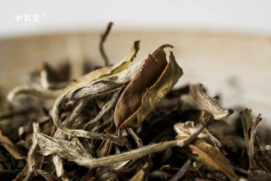 申时茶叙丨杯深琥珀浓,情深厚斟之,迎新上市