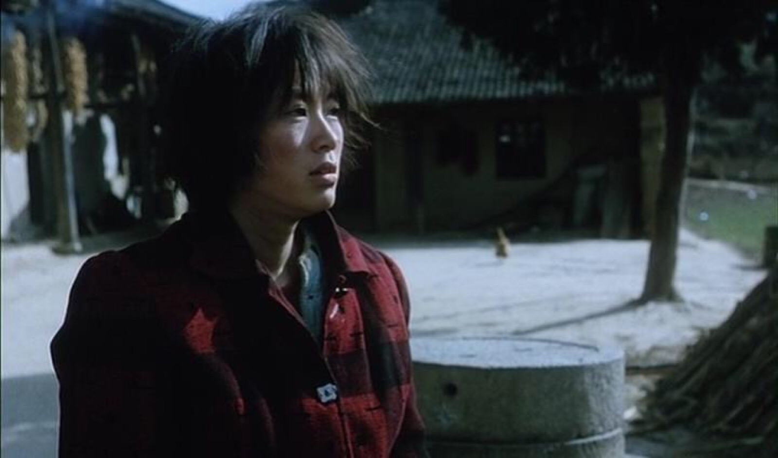 15年后再看《盲山》才懂：被拐卖的女大学生白雪梅为何逃不出大山