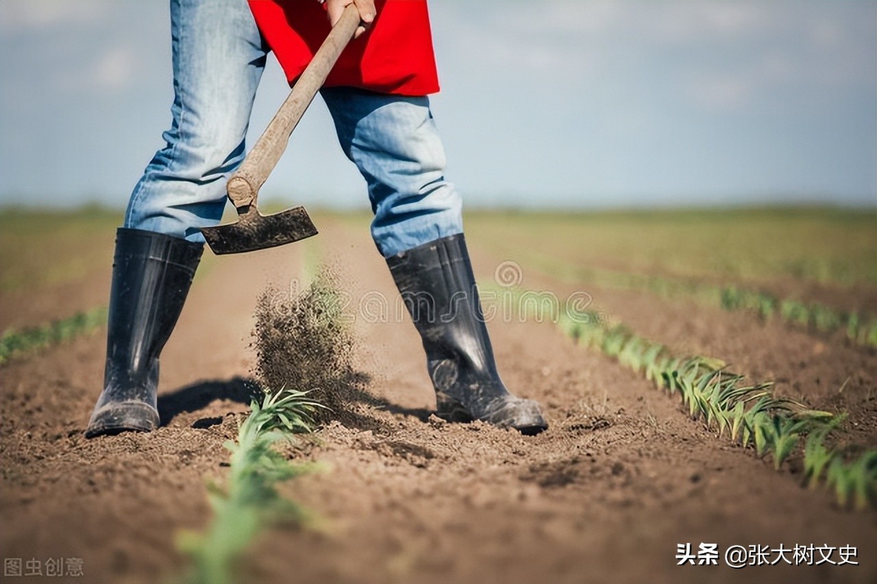 人生陷入困境怎么办？读读这6句经典格言，你会豁然开朗