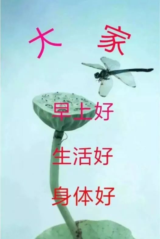 微信群发给朋友的温馨早上好祝福语句子 珍惜每天每时每刻图片