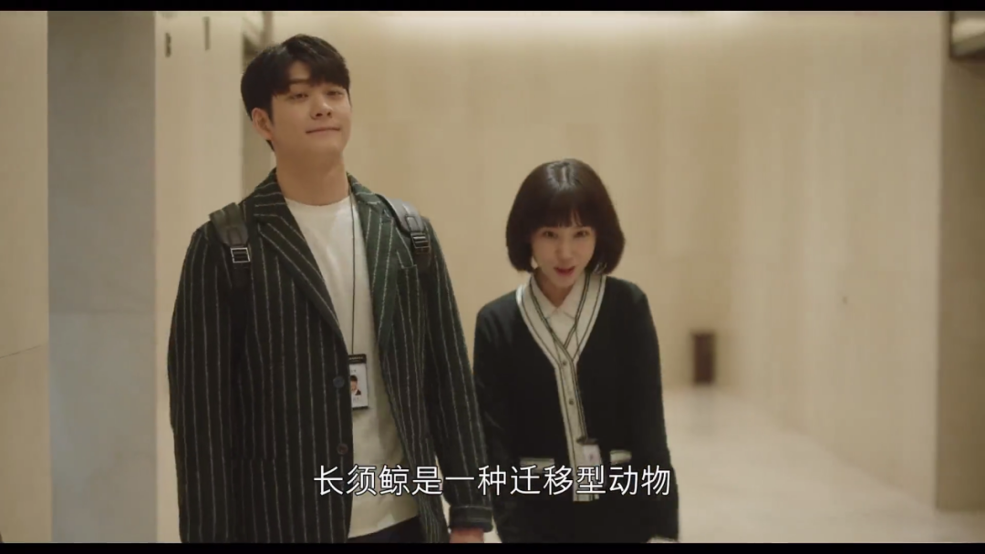 9.1涨到9.3，这爆款剧打破收视记录