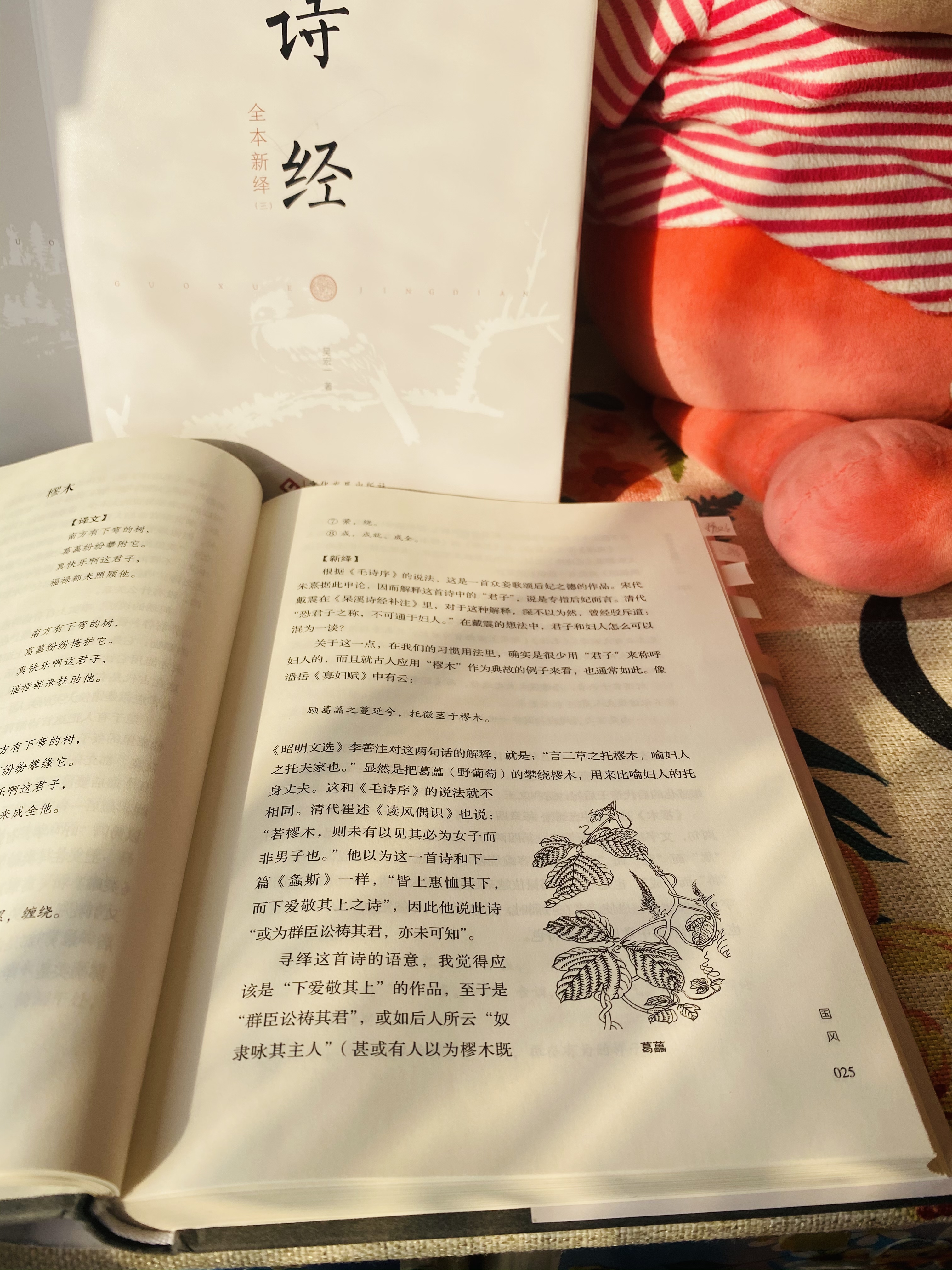2020年，我从中国文学的源头开始深入研究中国文学,我的这次文学之旅的开端