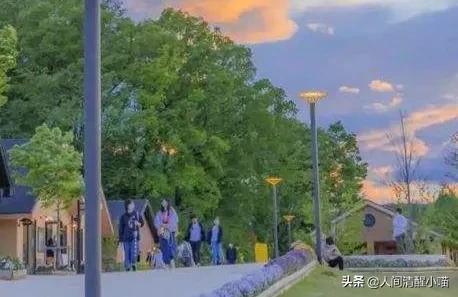 那些三观不正，但是让人感到很舒服的话