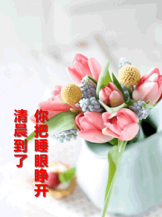 五月微信群发早上好问候亲友短句，周二早安，吉祥如意、健康快乐图片