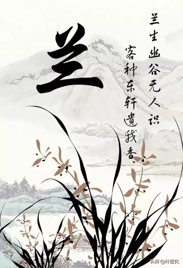 中国十大名花,您都知道吗?