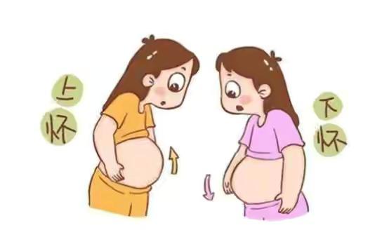 为什么怀孕后孕妈的肚子形状会有不同呢