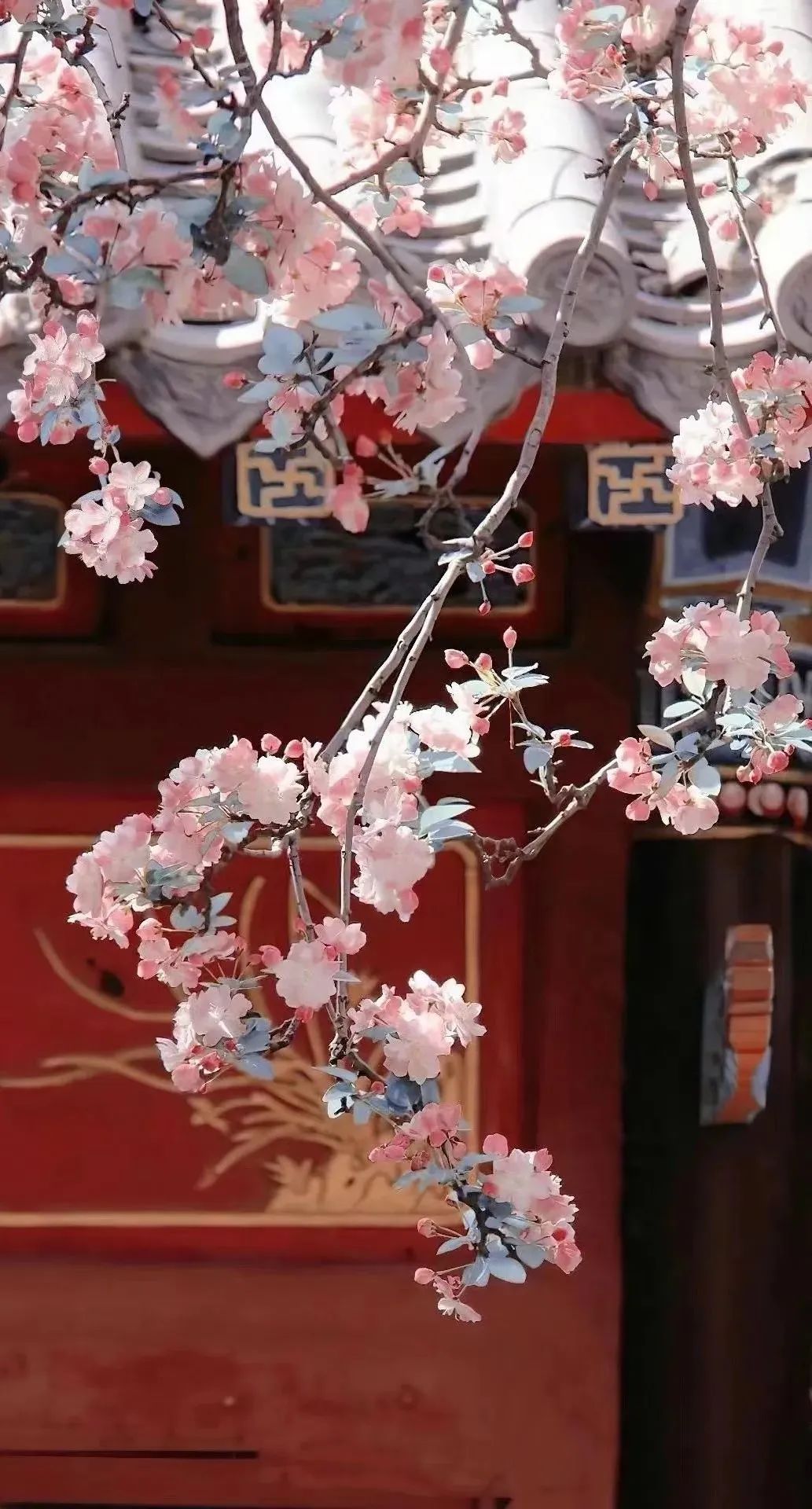 征集 | 就现在，发给我一张鹏飞春日图