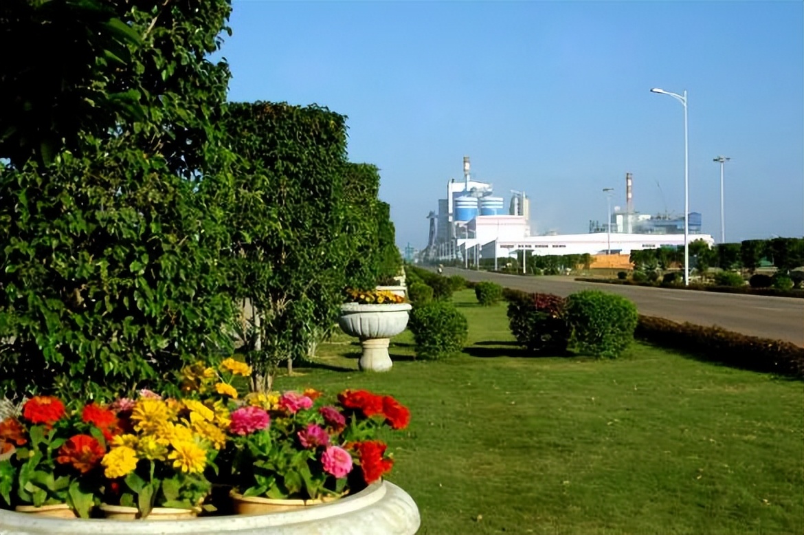 金光集团APP（中国）三十年奋斗的奋斗者——张笑如