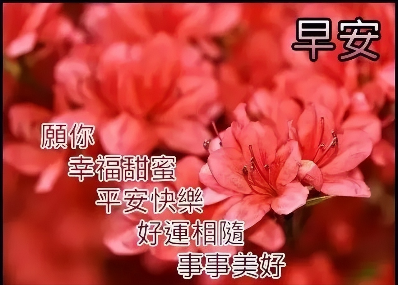 5月早上好祝福动态表情图片 早晨好动图美图欣赏 愿你今天幸福多彩图片