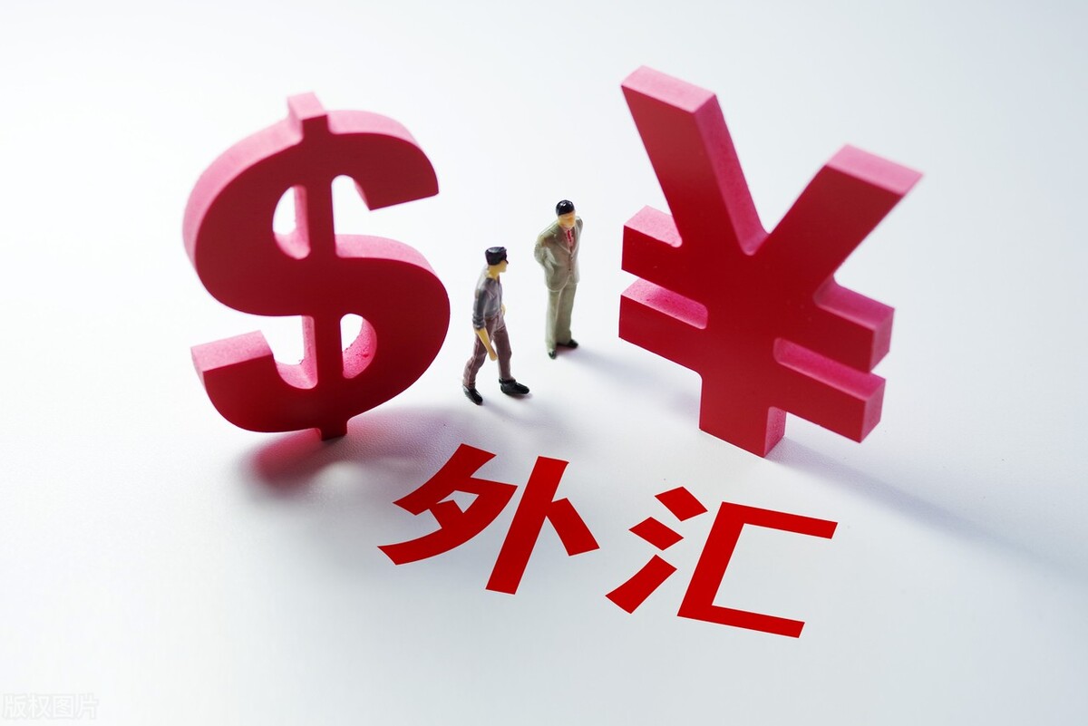 或者企业或者个人按照汇率将买进的外汇和卖出的外汇进行结清,需要