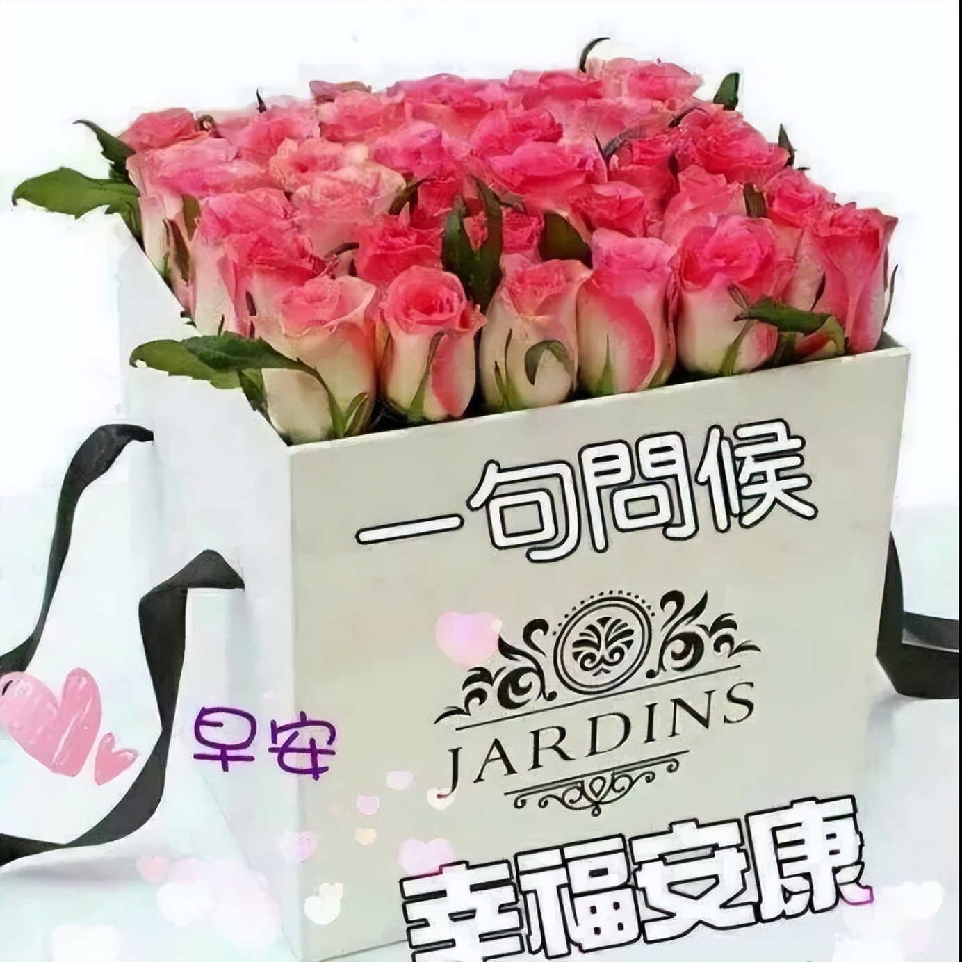 最新早上好表情包，天天好心情，平安快乐每一天，愿你今天好心情图片