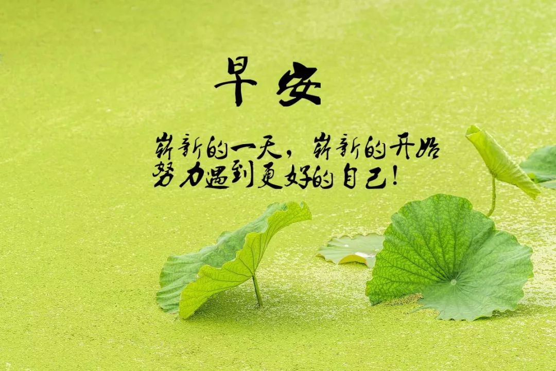 几张图片连成一句话的图片(2022) - 赤虎壹号