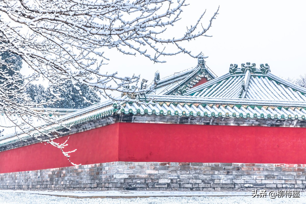 银装素裹分外妖娆，看点评学摄影，把雪景照片拍出新意