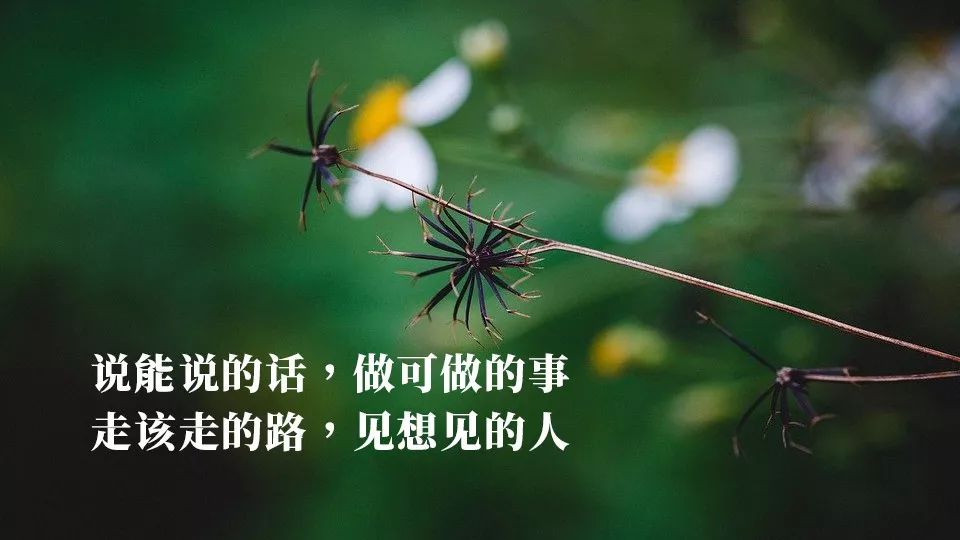 今日更新早上好表情包 早安问候祝福语句子，早安一生愿你好图片