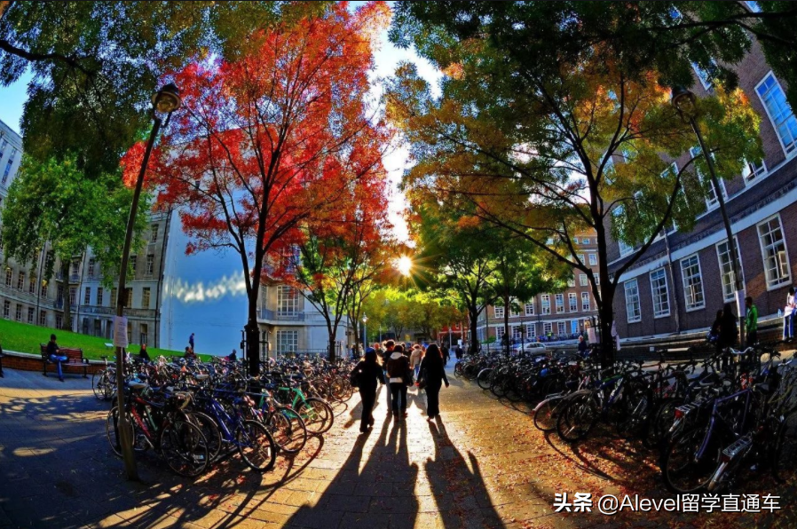 英国留学丨伦敦除了G5还有哪些顶尖学府，内附录取要求