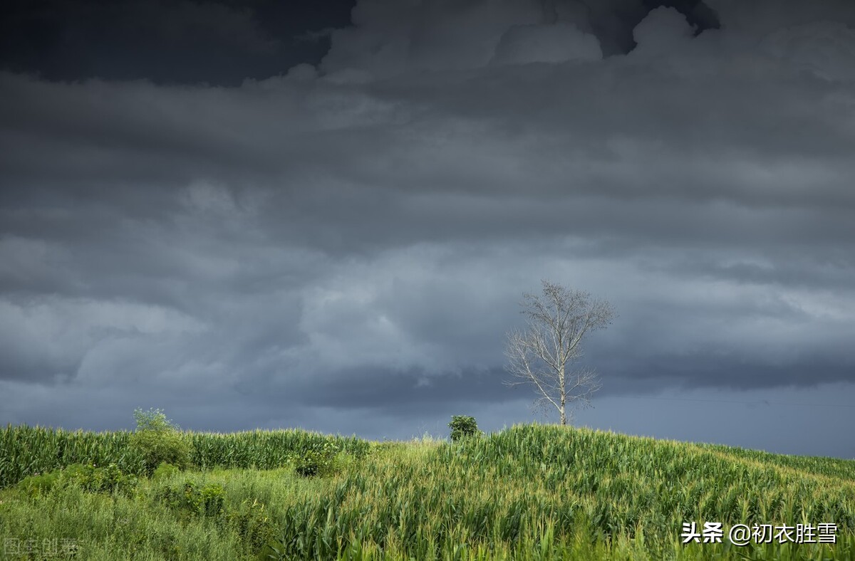 仲夏喜雨美诗四首：一朵乌云起天末，风回雨霁天地新