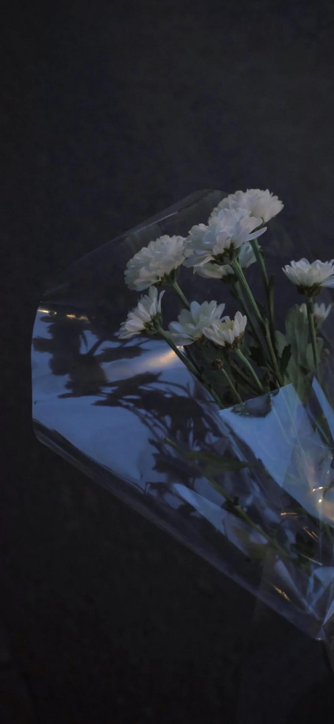 让人拍手叫绝的句子