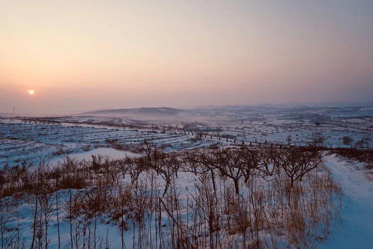 雪落无声心有痕，回到故乡来看雪