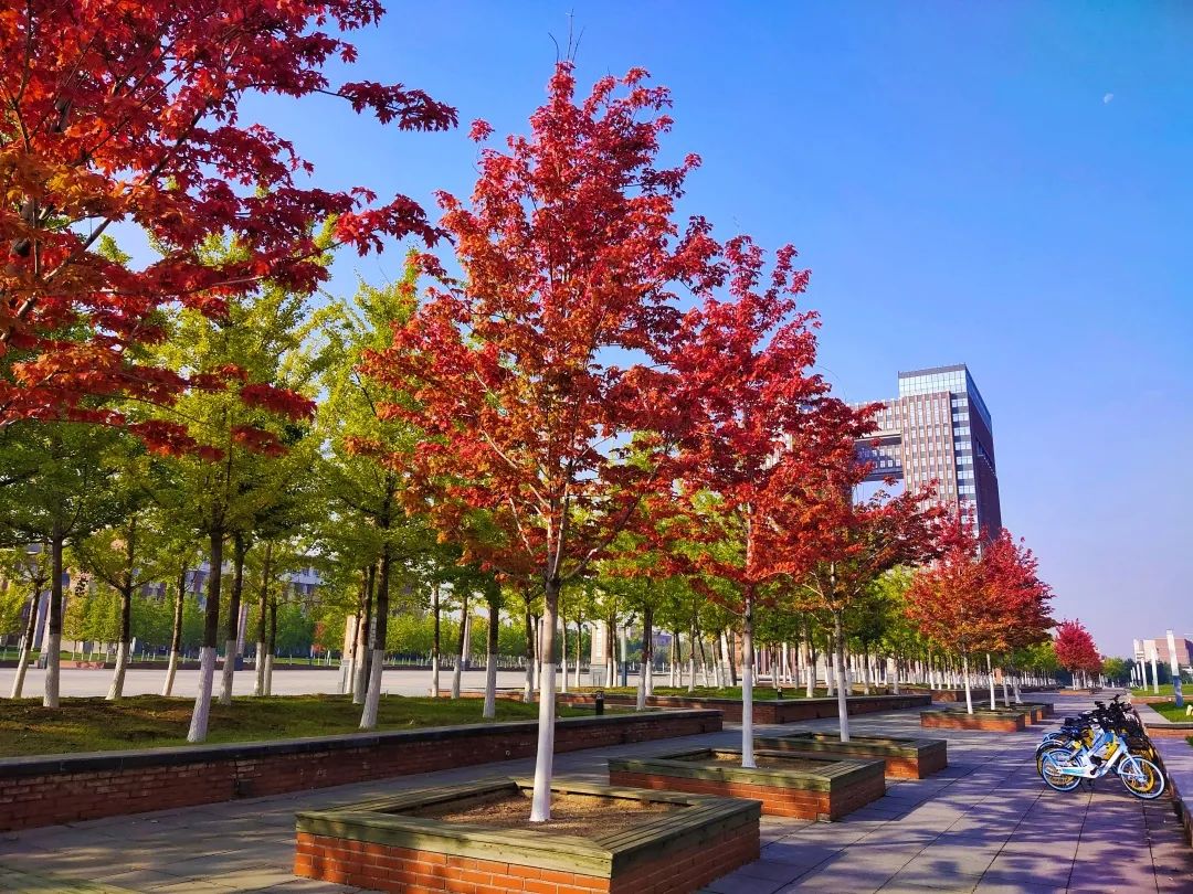 揭秘中国医科大学有多强？群星璀璨，人才辈出！