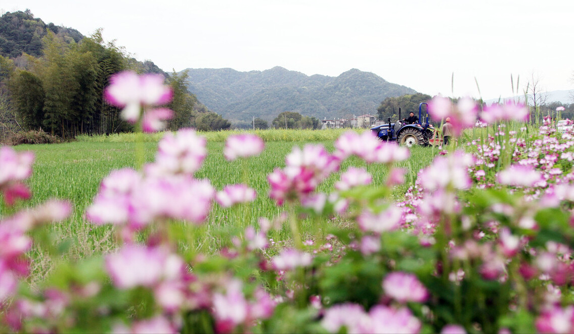 涉农社区的居委会需要承担村务及财务公开等法定职责？