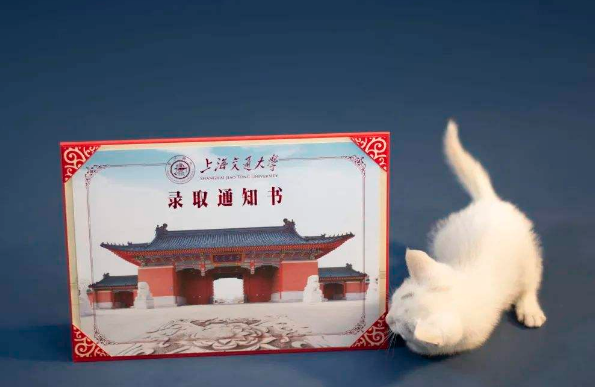 考生高考556分成功入学上交大，堪称高考锦鲤，是填报志愿的功劳