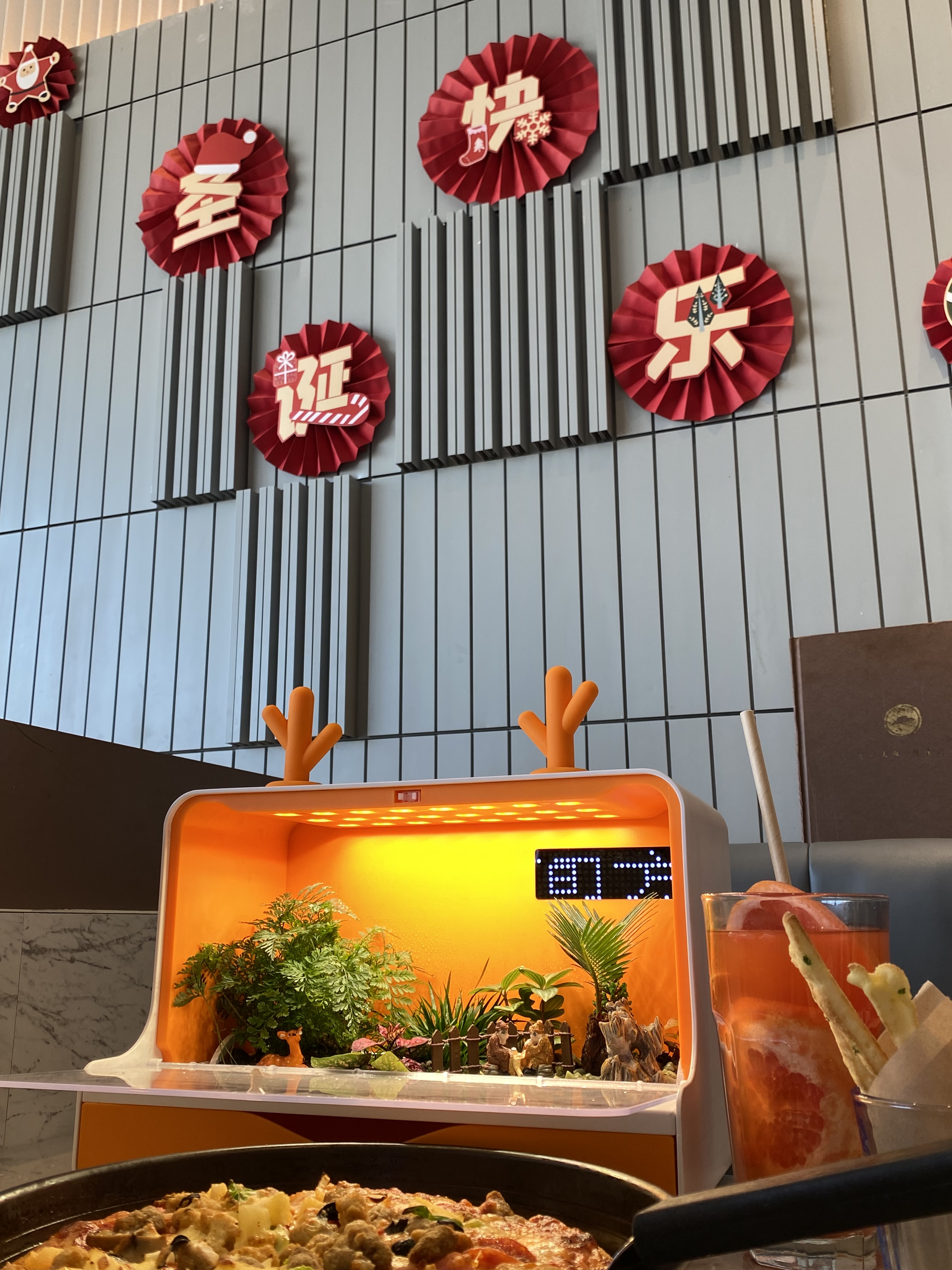 孩子送长辈什么礼物好（送给长辈的小礼物）