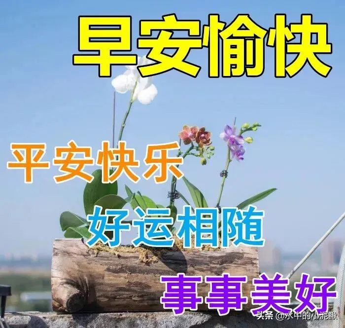 最新版早安正能量优美语录句子，优美文艺励志的早安语录短句子