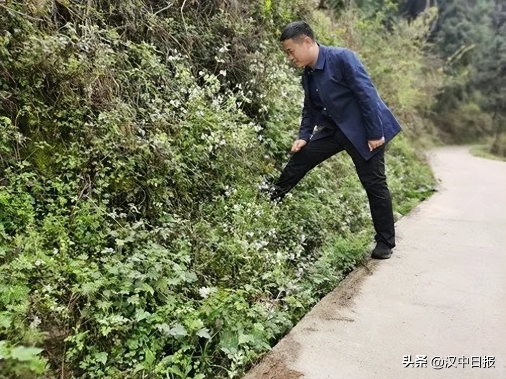 意義重大！激動~漢中這里發(fā)現(xiàn)……