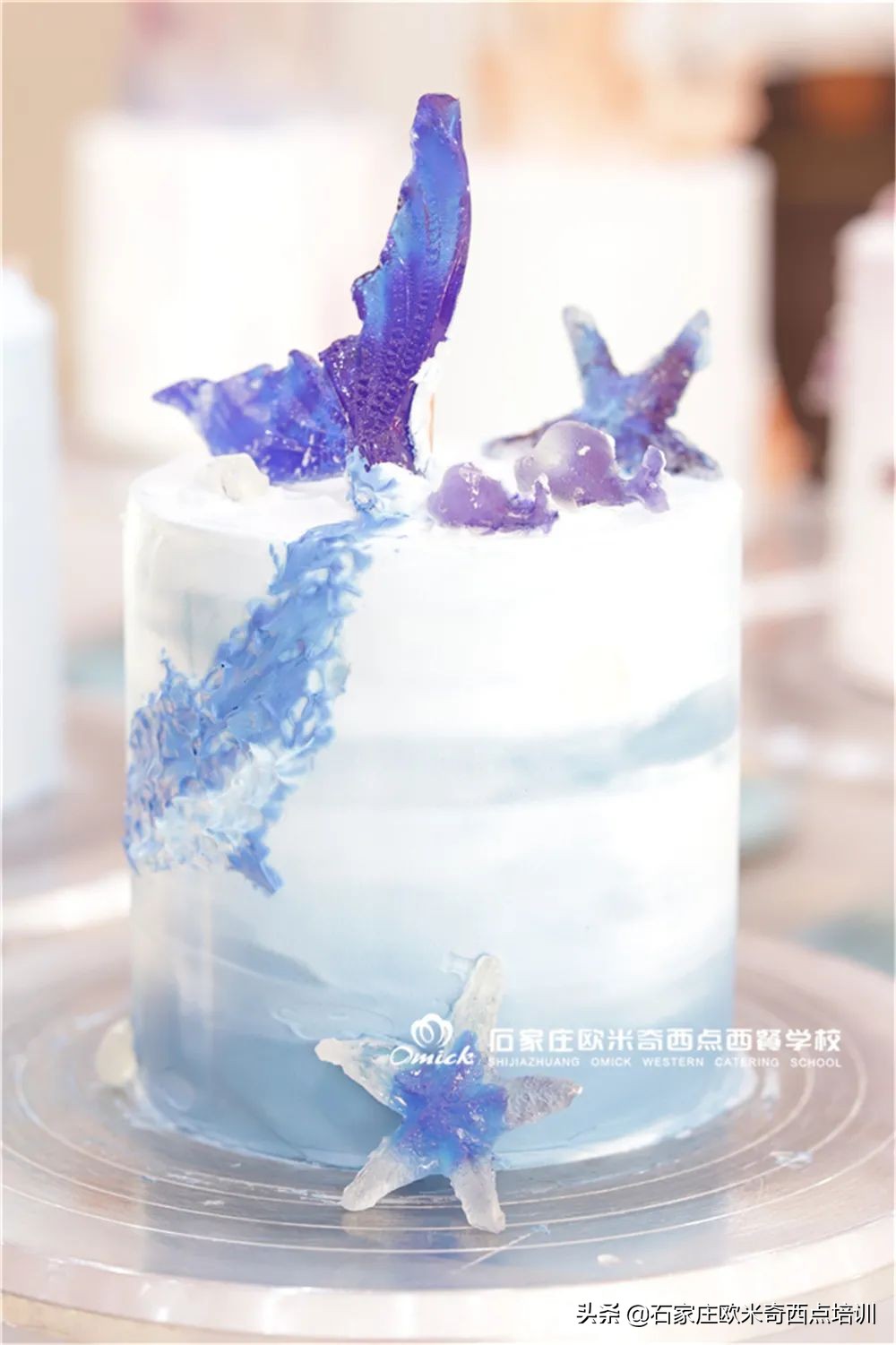 石家庄欧米奇 | 我把春天藏在同学们的作品里