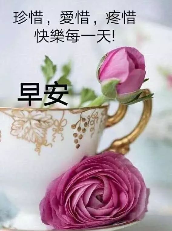 星期二早上好表情包，每天问个好，快乐多一秒，疫情无情人有情图片