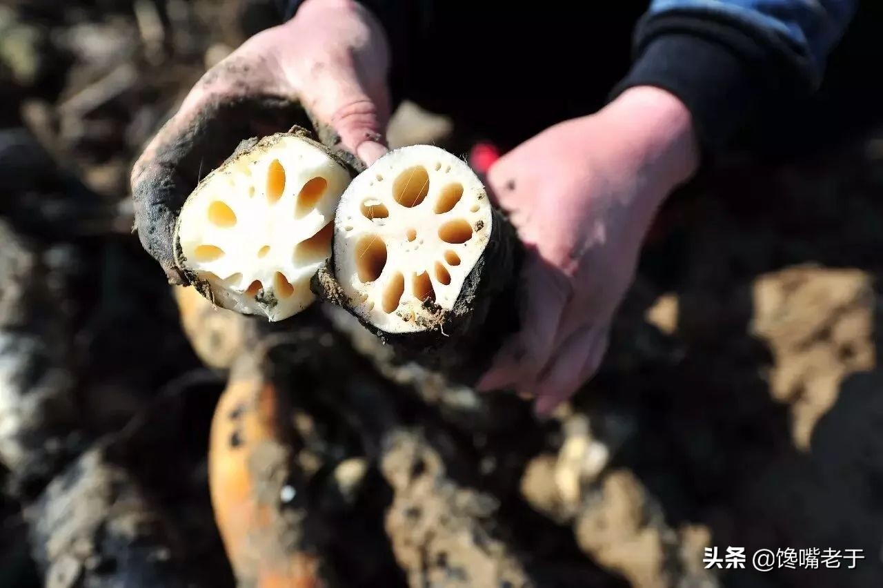 莲藕只用清水洗等于吃泥土！藕农教你一招，莲藕洁白更好吃