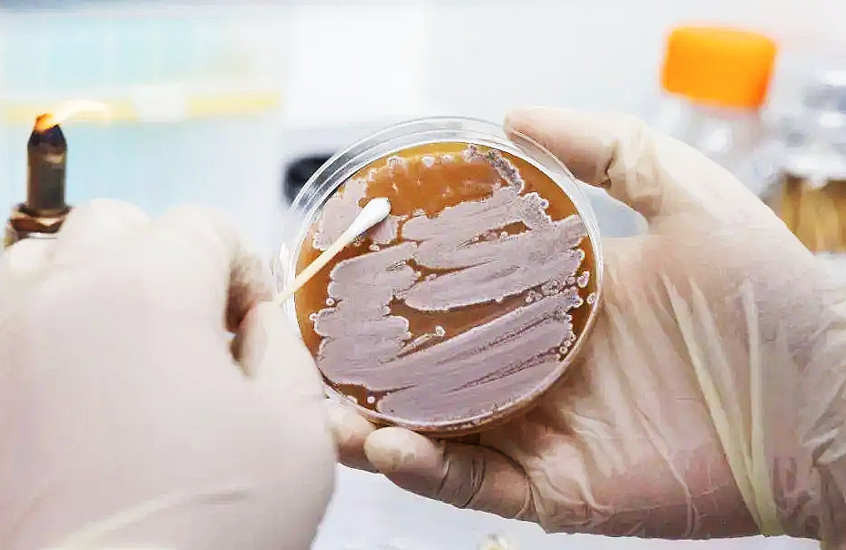 重大突破：全球第一组以中国企业名称命名的生物菌种诞生