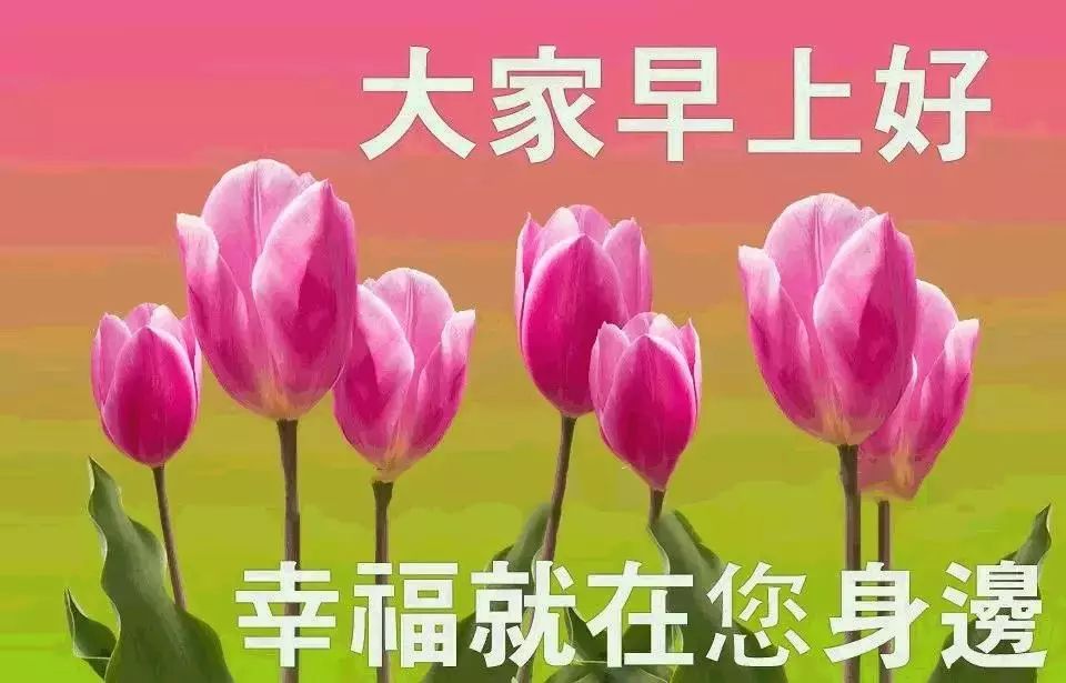 周六夏天超级漂亮的早上好祝福图片 你有多努力就有多幸运图片